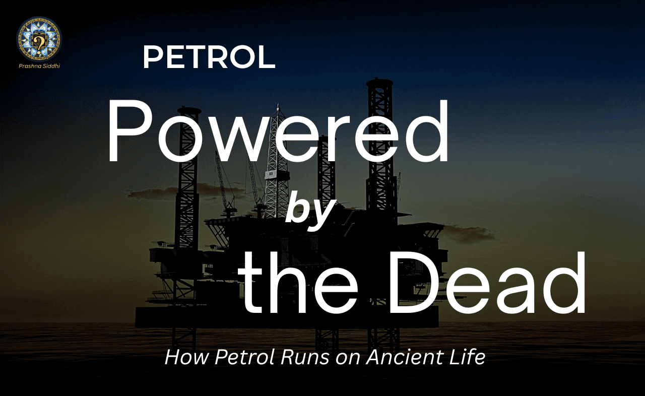 PETROL — Powered by the Dead....